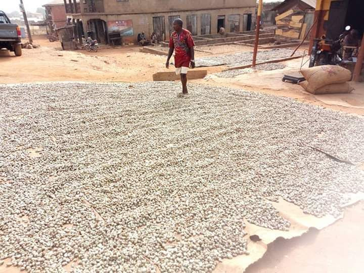 Cashew nuts
