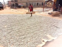Cashew nuts